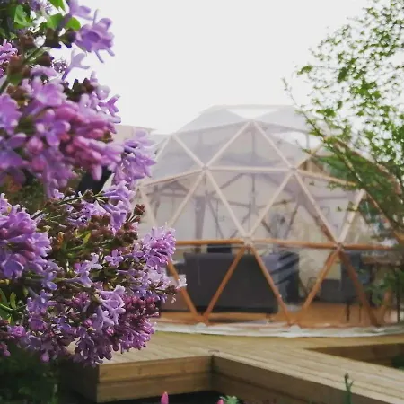Le Dome Aux Oiseaux *