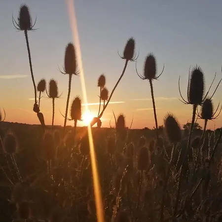 Le Dome Aux Oiseaux * Bérig-Vintrange